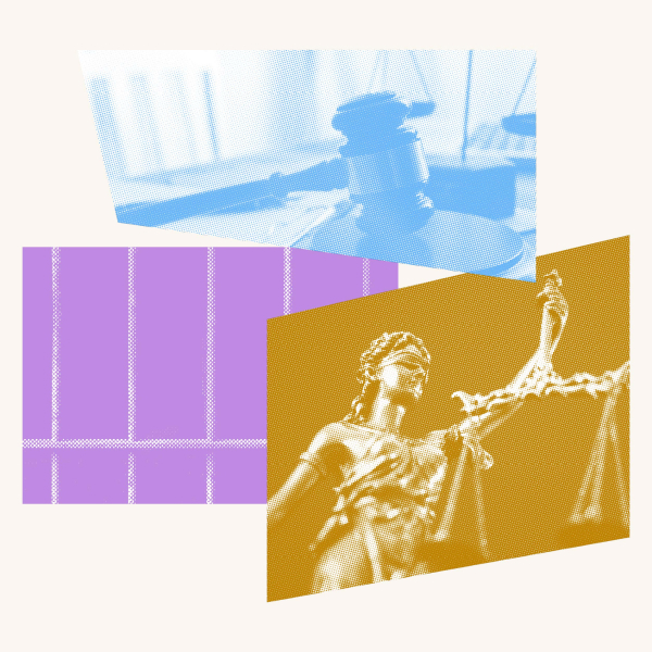 Criminal Law Reform image